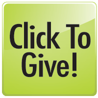 Online Donation Button