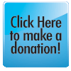 Online Donation Button