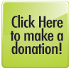 Online Donation Button