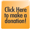 Online Donation Button