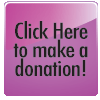 Online Donation Button