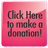 Online Donation Button