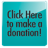 Online Donation Button