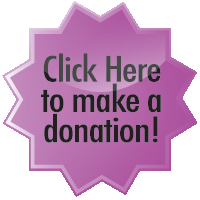 Online Donation Button