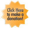 Online Donation Button