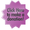 Online Donation Button
