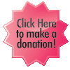 Online Donation Button