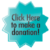 Online Donation Button