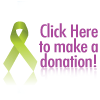 Online Donation Button