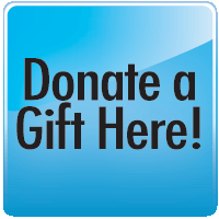 Online Donation Button