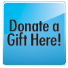 Online Donation Button