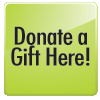 Online Donation Button