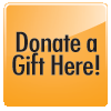 Online Donation Button