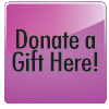 Online Donation Button