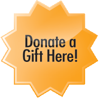 Online Donation Button
