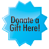 Online Donation Button