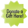 Online Donation Button