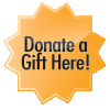 Online Donation Button