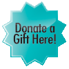 Online Donation Button