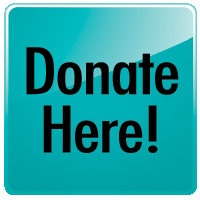 Online Donation Button