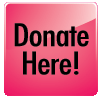 Online Donation Button