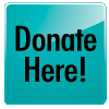 Online Donation Button