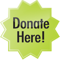 Online Donation Button