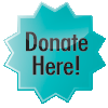 Online Donation Button