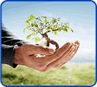 environment nonprofit software