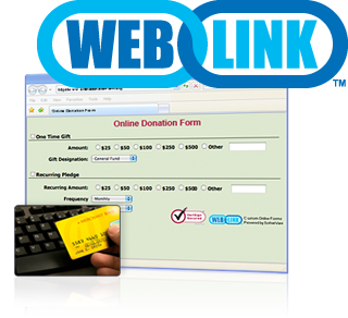 Online Donation Form Example