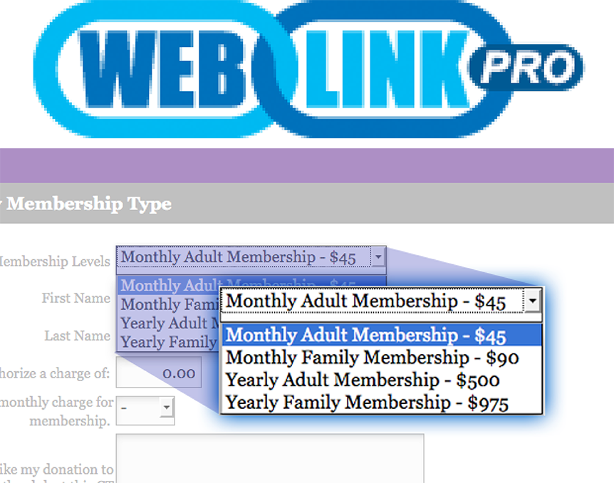 WebLink Online Donation and Registration Forms