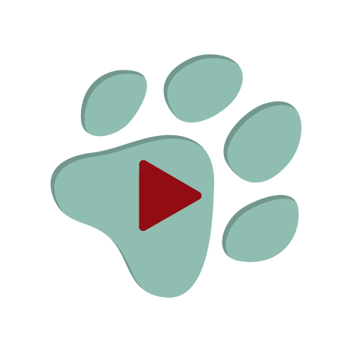 Paw print fundraising software review video play button