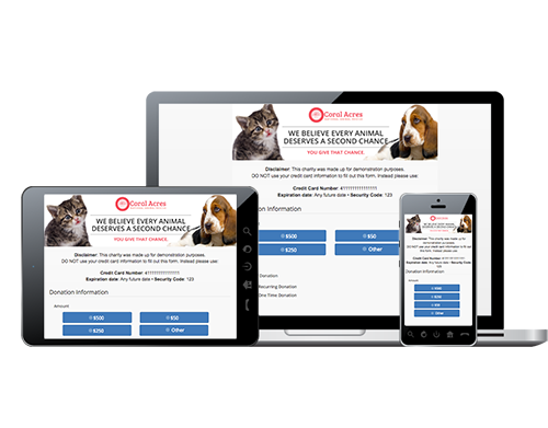 Example Online Fundraising Sites
